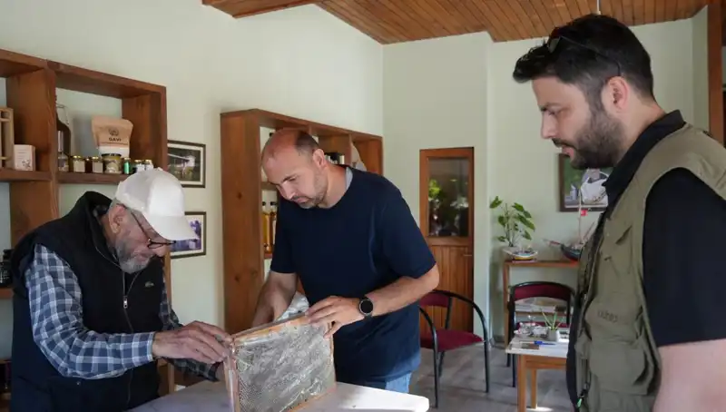 Doğanın İkili Yüzü: Şifa Veren ve Zehirleyici Bitki Özleri