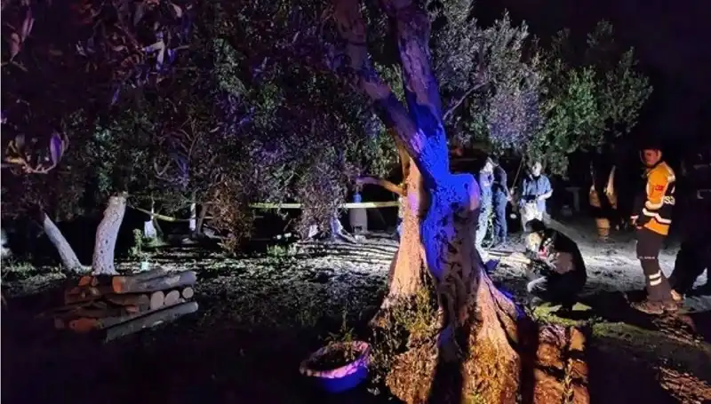 Çiftlikteki Baltalı Vahşet: Olayla İlgili İlk Tutuklama Yapıldı