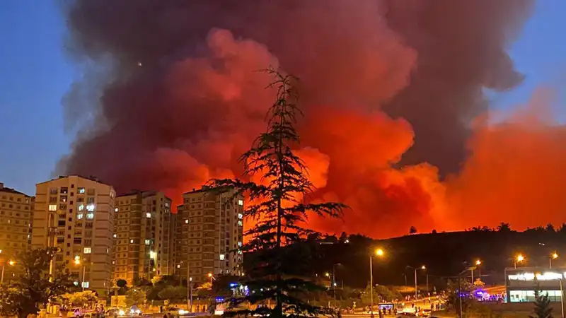 Bursa'da Yangınlar Şehre Sıçradı: Nedenler ve Sonuçlar