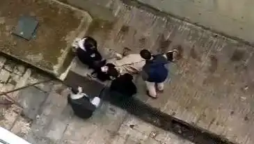 Kampüste Köpek Paniği: Öğrenci 4 Metreden Betona Düştü!