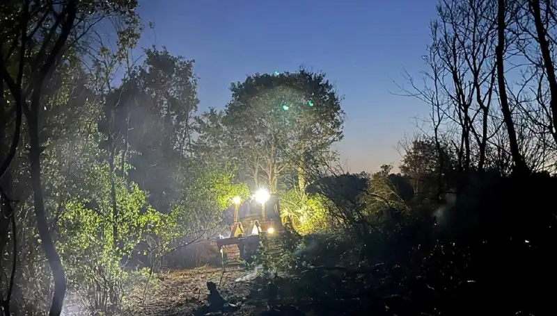 Edirne Orman Yangını Kontrol Altına Alındı: Doğa Yeniden Hayat Buldu