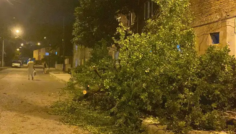 Karabük'te Fırtına Felaketi: Hayat Durma Noktasına Geldi