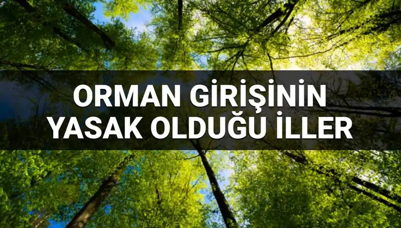 Türkiye’de Ormana Girişin Yasaklandığı 2025 İlleri: Sizi Bekleyen Çarpıcı Gerçekler