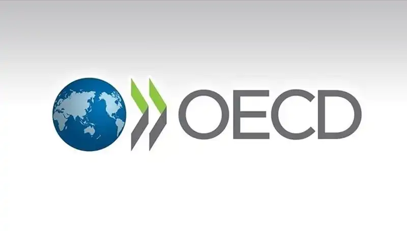 Türkiye'nin Ekonomisi İçin OECD'den Şaşırtan Büyüme Tahmini Açıklandı!
