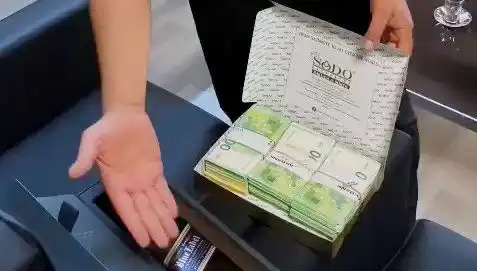 Manavgat Belediyesi'nde Şok Gelişmeler: Baklava Kutusundan Avro Çıktı!
