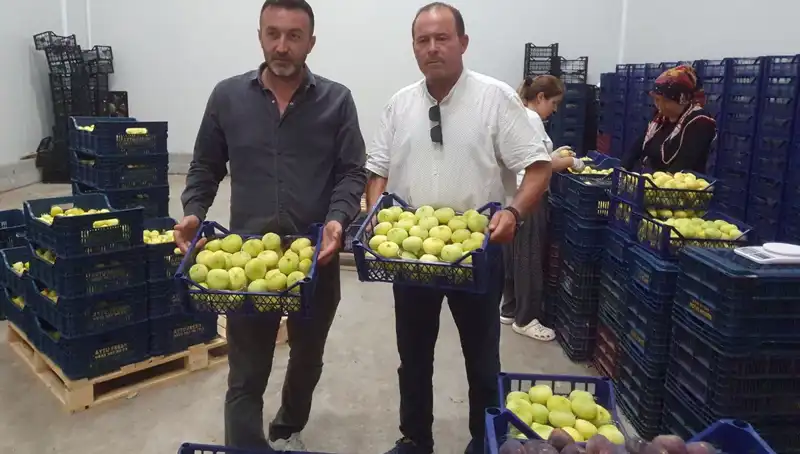 Mersinli Çiftçinin Yeni İhracat Başarısı: Tanesi 20 TL’den Dolaşıma Girdi