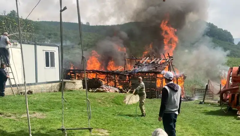 Akçakoca'da Korkutan Yangın: Samanlık Küle Döndü, Hayvanlar Tehlikede