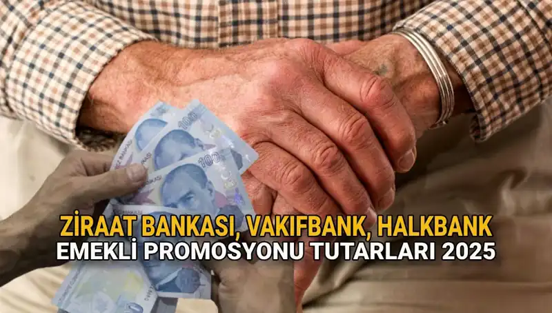 Emeklilerin Gözdesi: 2025'te Kamu Bankaları Promosyonları Ne Kadar Olacak?
