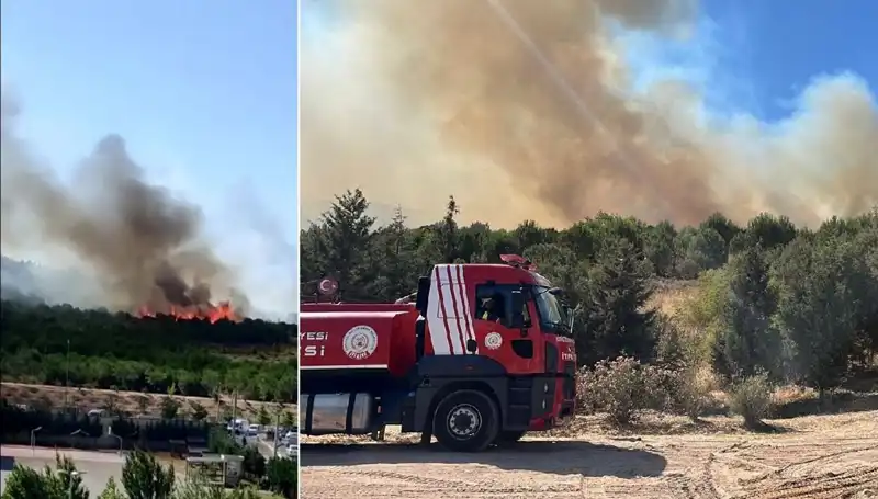 Gebze'de Orman Yangını: Sebepler ve Etkileri Üzerine Derinlemesine İnceleme