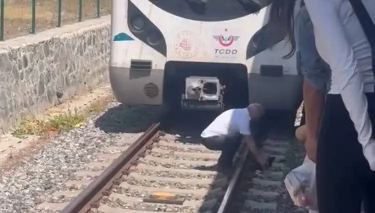 Marmaray Makinisti, Raylardaki Kediyi Görerek Treni Durdurdu