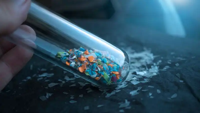 Mikroplastik Tehlikesi: İnsan Beyninde Bıraktığı Etkiler Neler Olabilir?