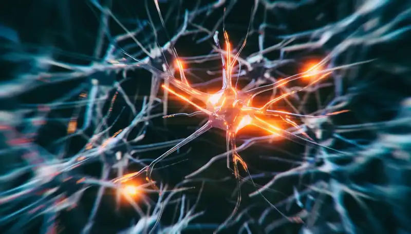 Alzheimer Vakalarında Son Dönemde Artışın Nedenleri ve Çözüm Yolları