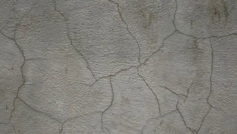 İnşaat Devrimi: Canlı Beton ile Çatlaklar Artık Sorun Değil!