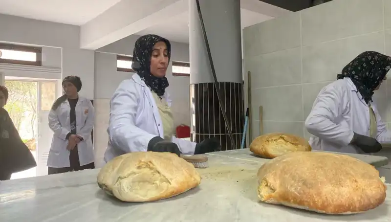 600 Yıllık Ata Ekmeği: Gelir Kapısı Haline Dönüştürüldü